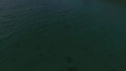 Wide Blue Sea Stock-Footage 218344491