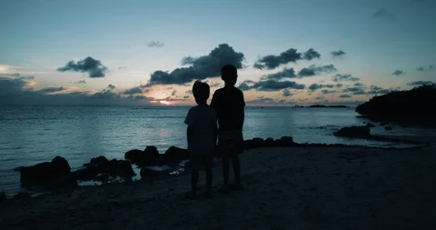 Wide to close push in silhouette of two boys pointing at bird as the sun sets. Stock-Footage 98269816