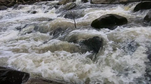 Wide Close-up of Rocky Stream Stock Footage 114890731