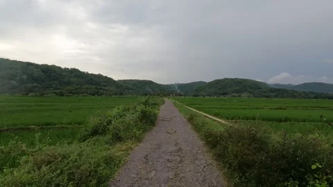 Wide Clouds Gathering Above Rice Paddies in Indonesia Stock-Footage 322177639