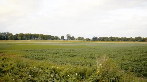 Wide countryside field with tiny lone bird visible in distance  库存影片 329531079
