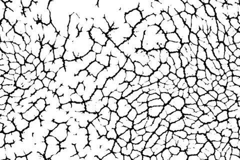 Wide cracks  grunge background Stock Illustration