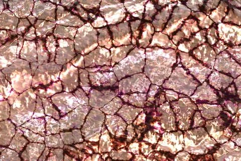 Wide cracky brilliant  Pattern Illustrazione stock