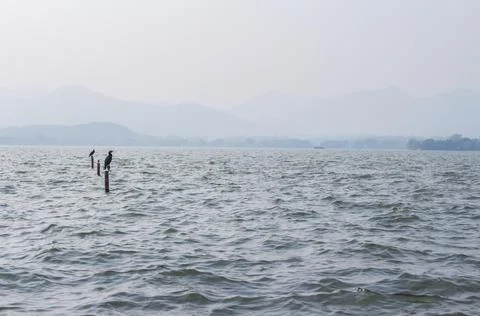 A wide deep blue lake. Stock Photos