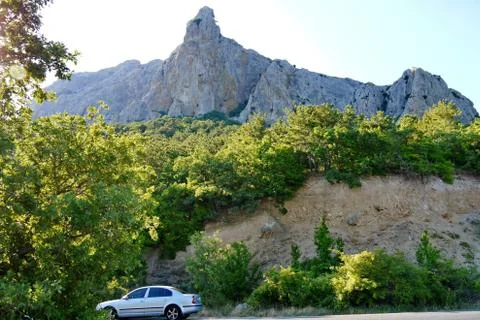 Wide dense forest on the background of a steep gray rock under a blue sky Stock Photos
