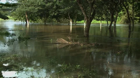 WIDE ON DENSU RIVER Stock Footage 58074582