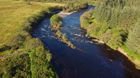 Wide Drone Angle of River with Grassy Banks and Trees Stock Footage 229764132