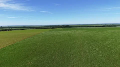 Wide Drone Flight Over Expansive Green Agricultural Fields and Farmland Video stock 346859616