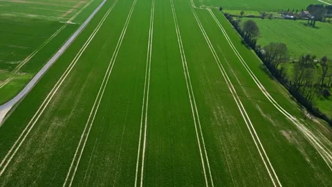 Wide drone perspective view of an expansive green farm field with long parallel Stock Footage 305835221