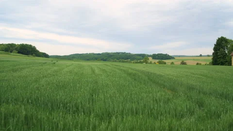 Wide Drone Shot Of Fields During Harvest Season Stock Footage 132342929