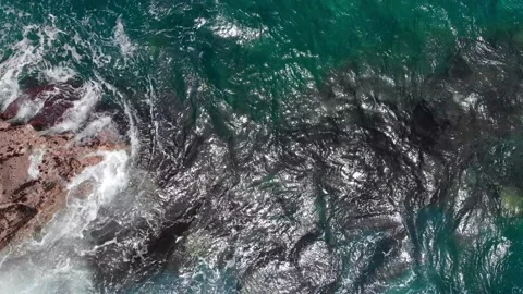 Wide drone shot of ocean waves, dark bottom and sea turtles at Kauai, Hawaii Video stock 135915648