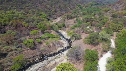 Wide drone shot reversing over Hot River in Spring Forest showing full forest Stock Footage 319342095