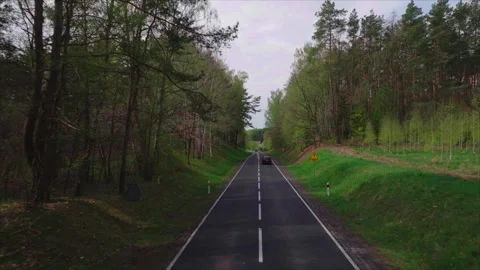 Wide drone tracking road through Polish forest with trees both sides Vídeo Stock 339170373
