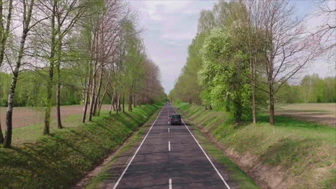 Wide drone tracking road through Polish forest with trees both sides Stock Footage 339170443