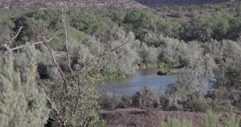 Wide elevated view looking down into San Juan River canyon at dawn Stock Footage 334873046