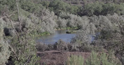 Wide elevated view of San Juan River canyon with Canada geese in the water Stock Footage 334873044