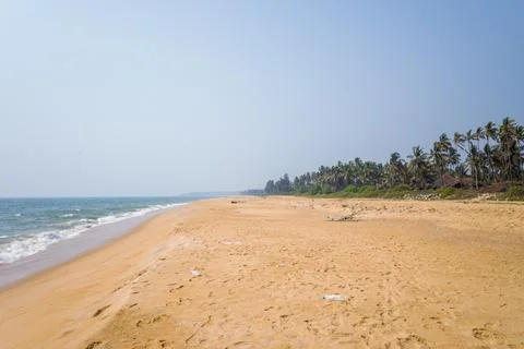 Wide empty beach with palm trees, Bekal coast Stock Photos