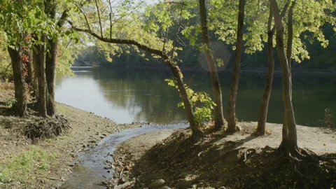 Wide Establishing Calm Pond Stock Footage 232441938