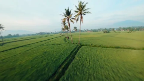 WIDE EXPANS OF FIELD 스톡 동영상 229047510