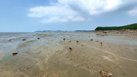 A wide expanse of mudflats Stock Footage 247679301
