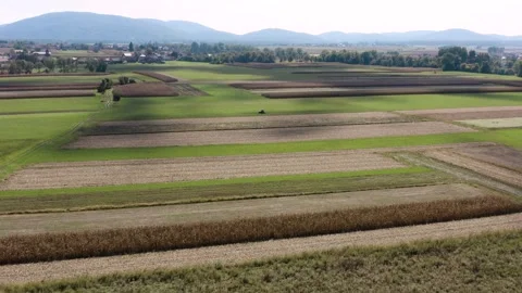 Wide, expansive farmlands with alternating rows of green and brown crops. Video stock 285772636