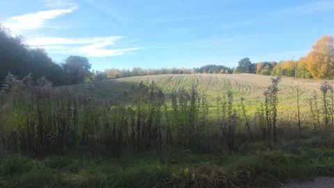 Wide Expansive View Of Rolling Grassy Field Under Blue Sky Stock Footage 348293146