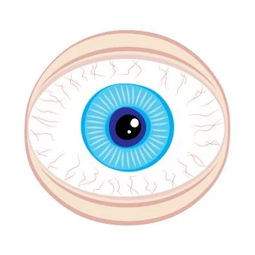 Wide eye security concept Stock Illustration