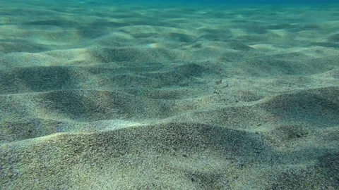 Wide-eyed flounder (Bothus podas) camouflaged on sandy seabed Vidéo 152582011
