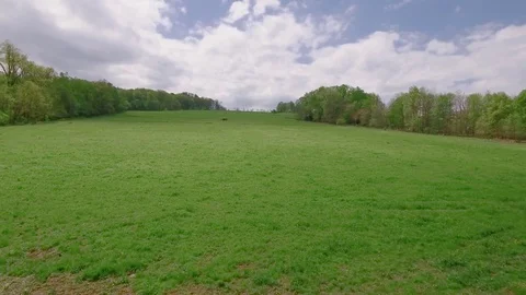 Wide farm fields Stock Footage 75819218