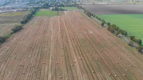Wide farm fields with mowed wheat and hay bay rolls. Aerial parallax shot. 動画素材 125200027