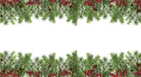 Wide festive pattern. Christmas tree, cones and red berries. Isolation. Stock Photos