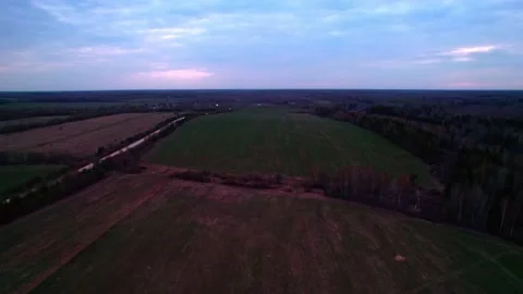 Wide field surrounded by forest in the evening 스톡 동영상 196496759