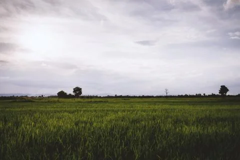 The wide fields in the evening. Stock Photos