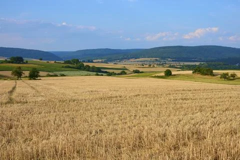 Wide fields under clear skies surrounded by rolling hills and trees, summer, Stock Photos