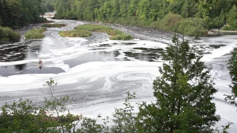 Wide Foamy River Video stock 73077756