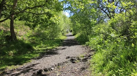 Wide forest path  Cambusbarron Stirling Stock Footage 51771509