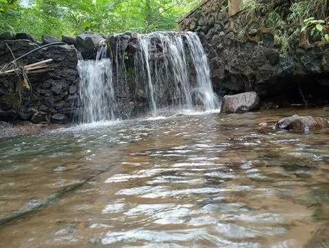 Wide Forest Stream with Calm Flowing Water and Rocks Stock Photos