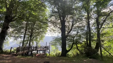 Wide Forest Valley View from Observation Deck in Kartepe, Turkey Stock Footage 340642265