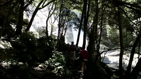 Wide Forest view of river and waterfall with tourists Stock Footage 59941501