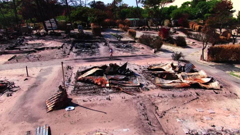 Wide forward tracking of burned area surrounded by trees, Gironde Stock Footage 332065822