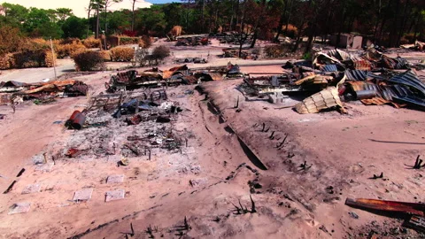 Wide forward tracking close to ground over burned area, Gironde Stockbeeldmateriaal 332065826
