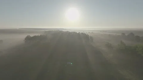 Wide forward tracking fields forests facing sun with soft light 스톡 동영상 345220994