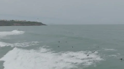 Wide forward tracking surfers toward ocean Video stock 345225546