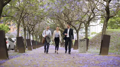 Wide full body view of three colleagues walking vigorously on park sidewalk Stock Footage 277973508