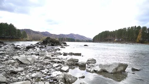 Wide, full-flowing mountain river with fast current. Gorny Altai in autumn Stock Footage 265016611