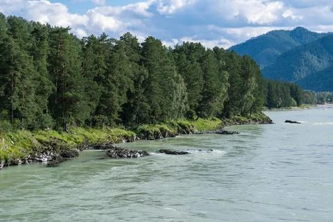 A wide, full-flowing mountain river with a fast current. Stock Photos