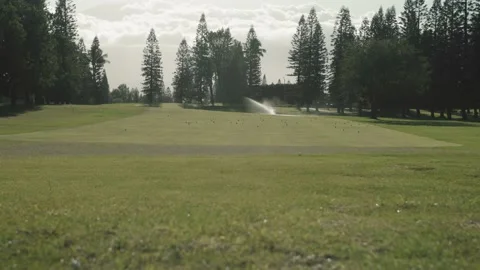 Wide Golf Course Stock Footage 133551918