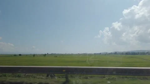 A wide green field under a blue sky with white clouds, a large tree on the left Stock Footage 341672144