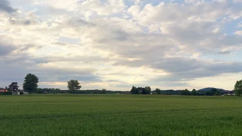 Wide green field under a dramatic evening sky, with soft clouds, distant trees Stock Footage 340138974