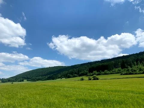 Wide green fields stretch beneath a bright blue sky with fluffy clouds, showc Stock Photos